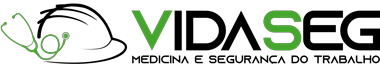 VidaSeg
