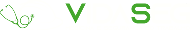 VidaSeg